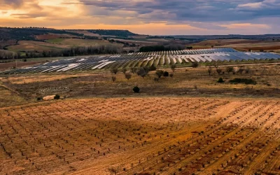 Tinta de Toro: fuerza, leyenda y grandeza nacidas a orillas del Duero